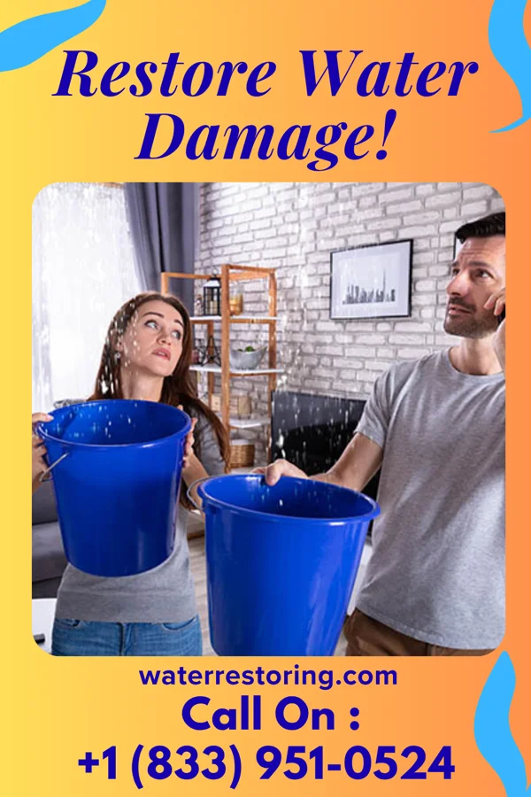 water restoration Premier Cleanup Partners Perkins